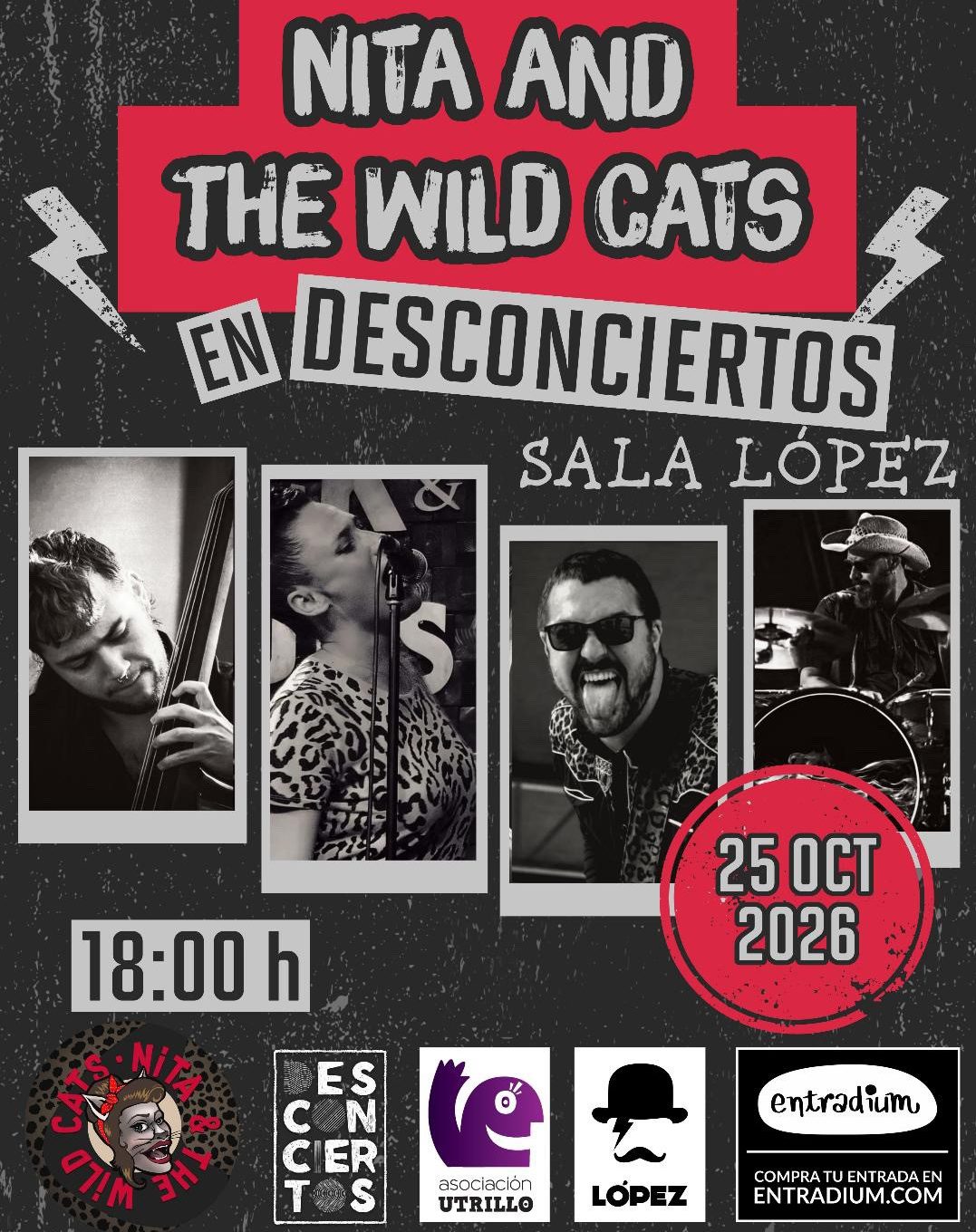 DESCONCIERTO OCTUBRE - NITA AND THE WILDCATS NITA AND THE WILD CATS - DESCONCIERTO